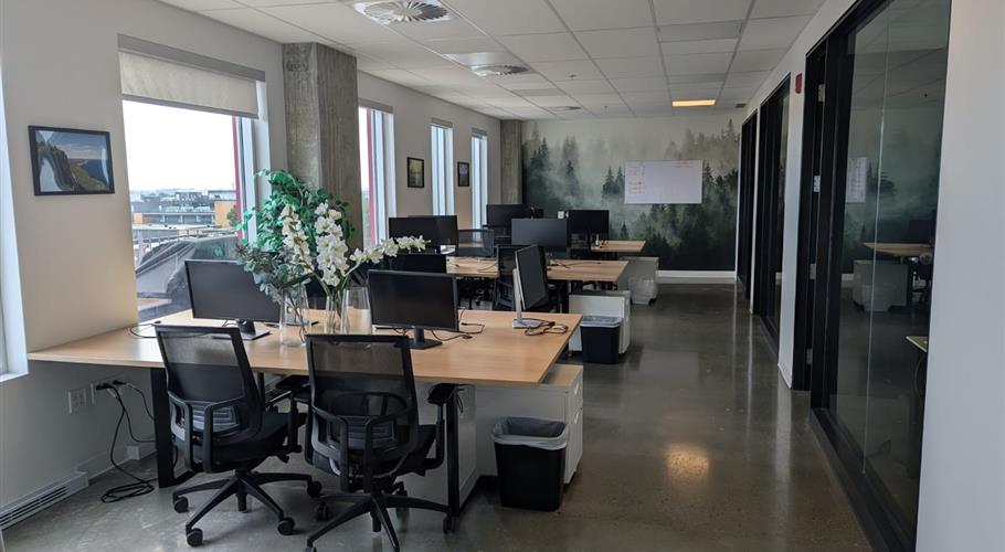Bureaux Montréal 5.jpg